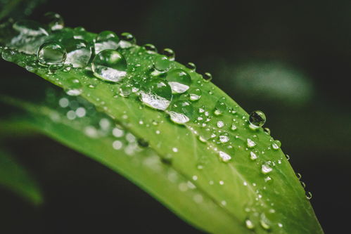 放下一個(gè)人的最高境界，是為自己穿上虹膜保護(hù)云